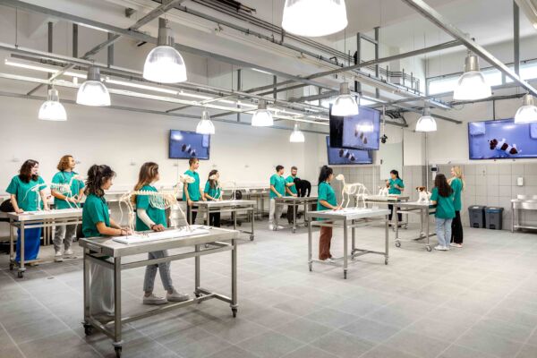 Photo Gallery – UNIC | School of Veterinary Medicine